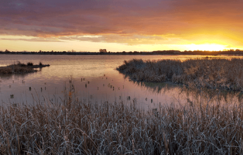 （Doñana National Park）