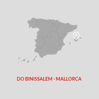 Binissalem Mallorca DO Wine Area Map