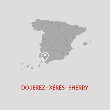 Jerez Xeres Sherry DO Wine Area Map