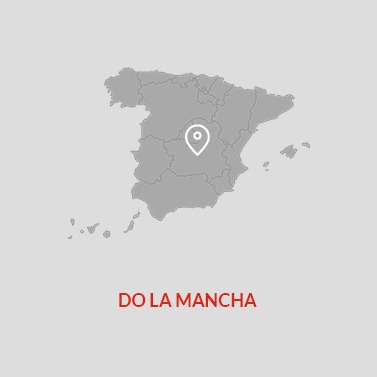 La Mancha DO Wine Area Map