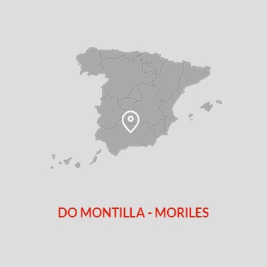 Montilla Moriles DO Wine Area Map