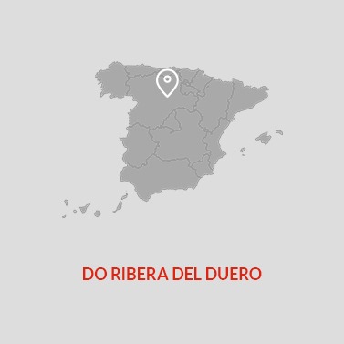 Ribera Del Duero DO Wine Area Map