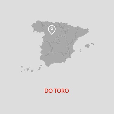 Toro DO Wine Area Map