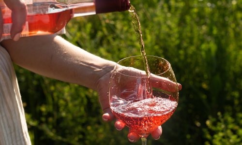 希加莱斯产桃红酒歌咏 Cigales