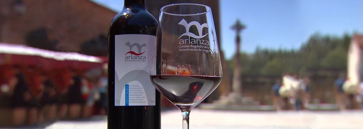 Arlanza DO Vineyards and Production