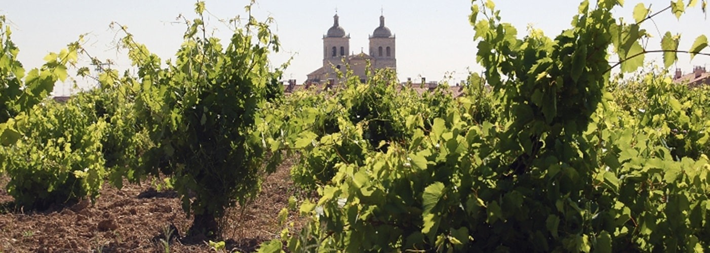 Cigales DO Vineyards and Production