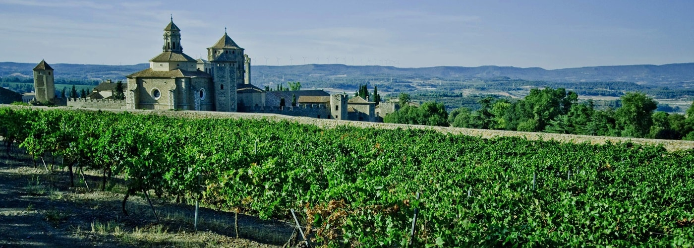 Conca De Barbera DO Vineyards and Production