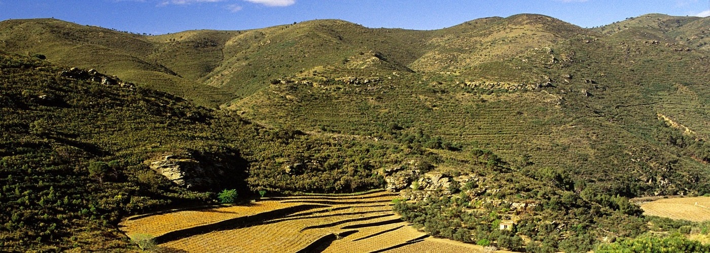 Emporda DO Vineyards and Production Emporda DO Vineyards and Production