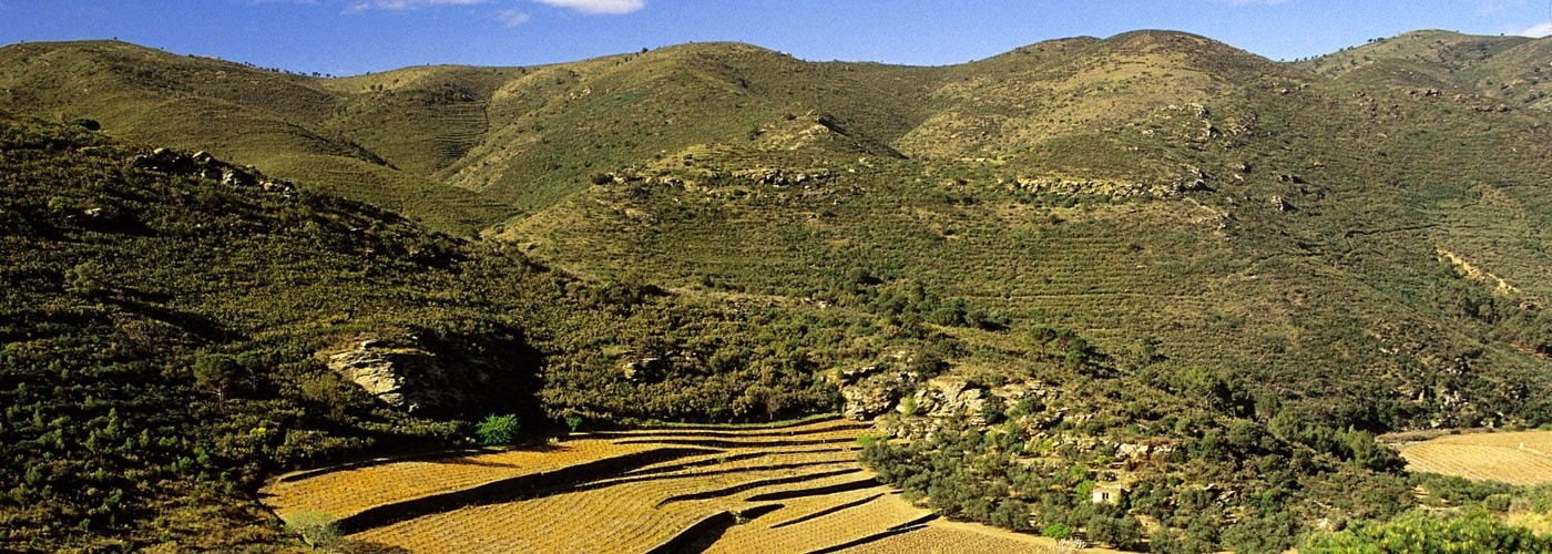 Emporda DO Vineyards and Production