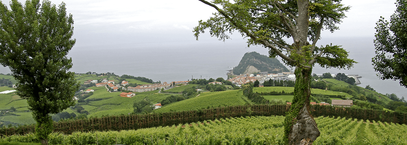 Chacolí de Guetaria-Getariako Txakolina-Txakoli de Getaria DO Vineyards and Production