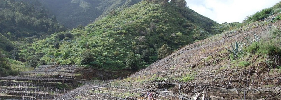 La Gomera DO Vineyards and Production