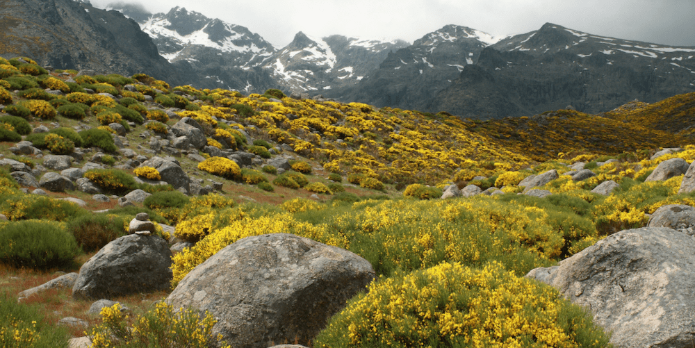 sierra_de_gredos