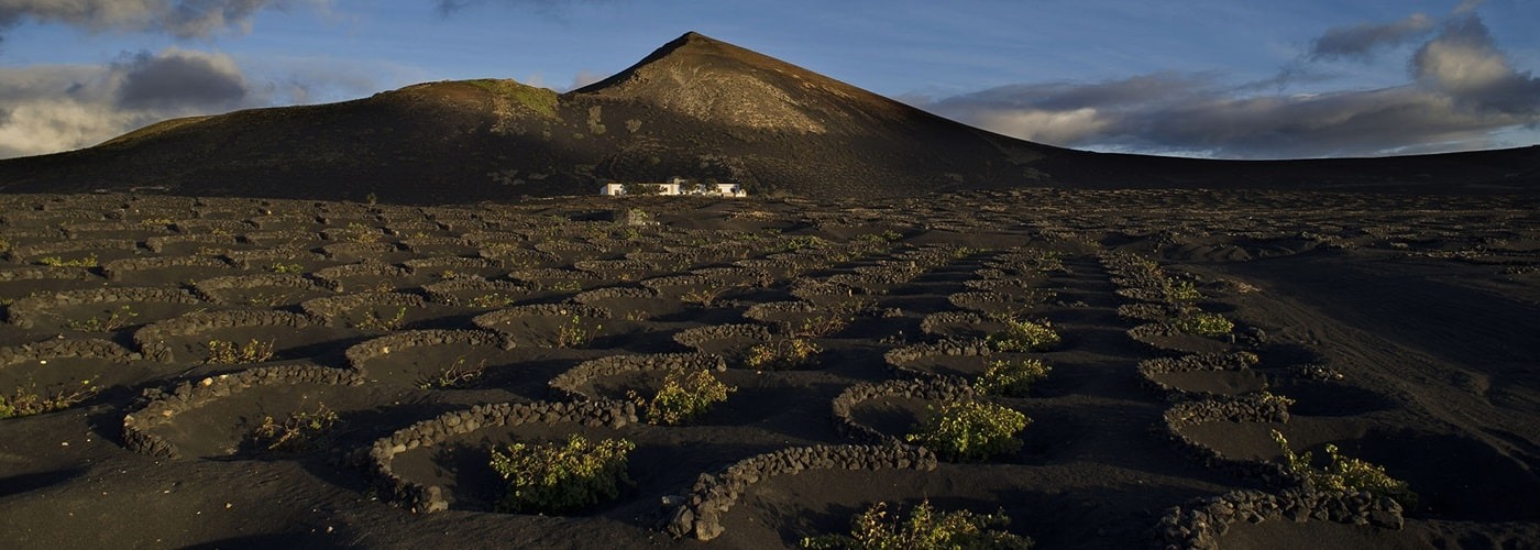 Lanzarote DO Vineyards and Production