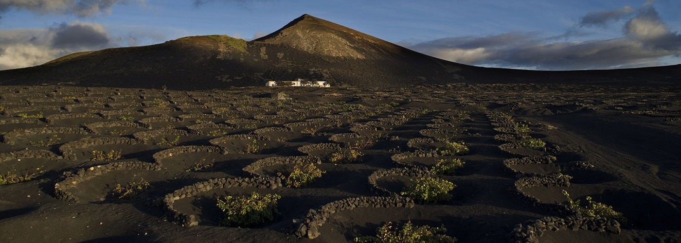 Lanzarote DO Vineyards and Production Lanzarote DO Vineyards and Production