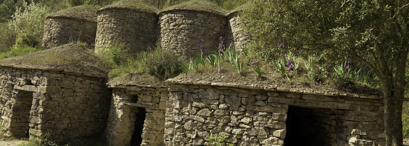 Pla De Bages DO Vineyards and Production Pla De Bages DO Vineyards and Production