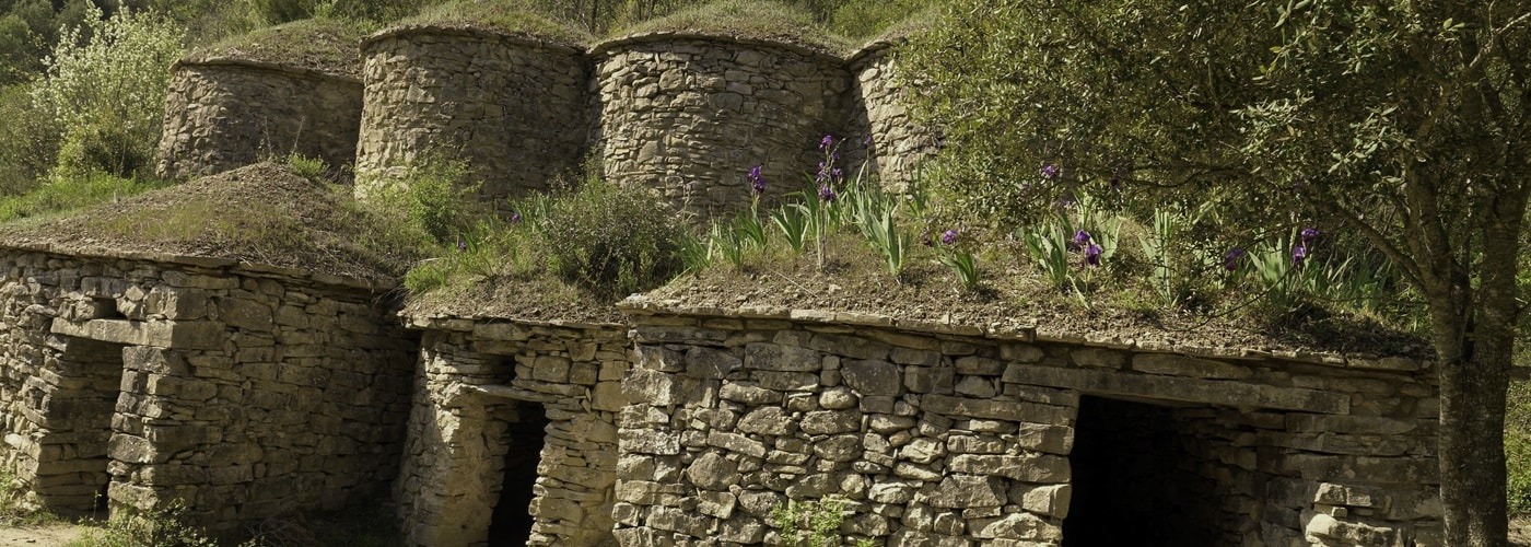 Pla De Bages DO Vineyards and Production