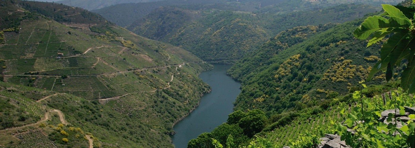 Ribeira Sacra DO Vineyards and Production