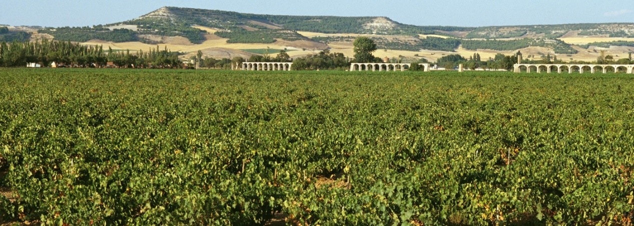 Ribera Del Duero DO Vineyards and Production